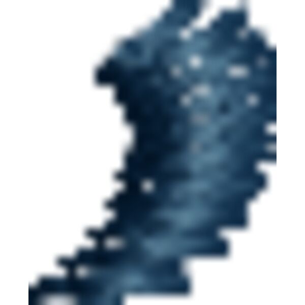 78433 Miniaturansicht