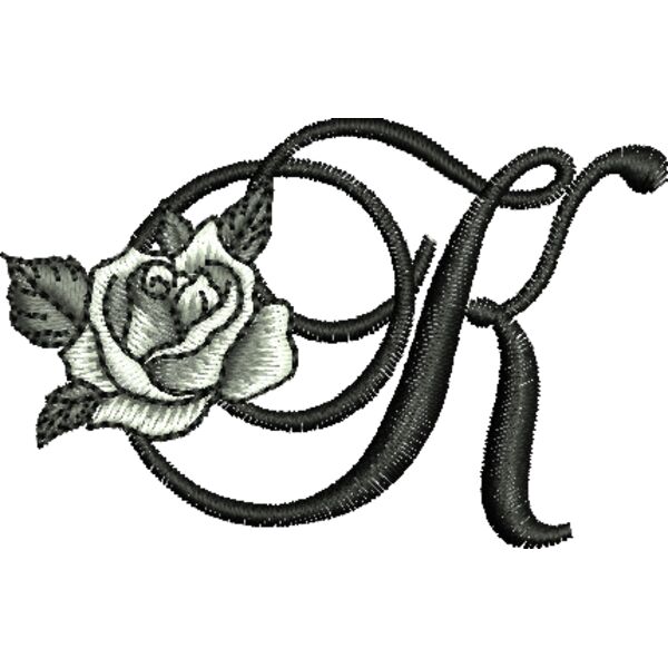 50403 Miniaturansicht