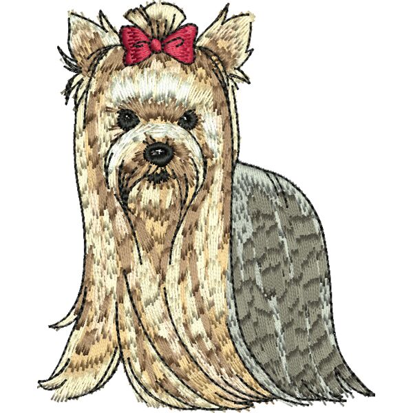 77634 Miniaturansicht