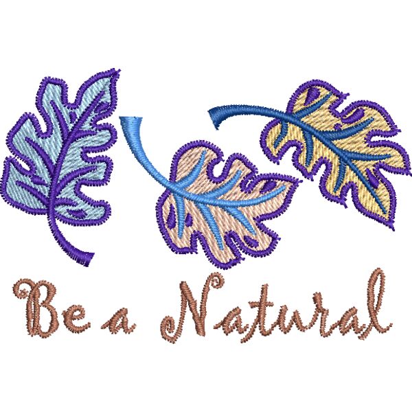 14570 Miniaturansicht