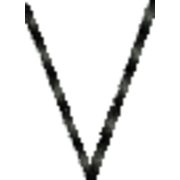 69655 Miniaturansicht