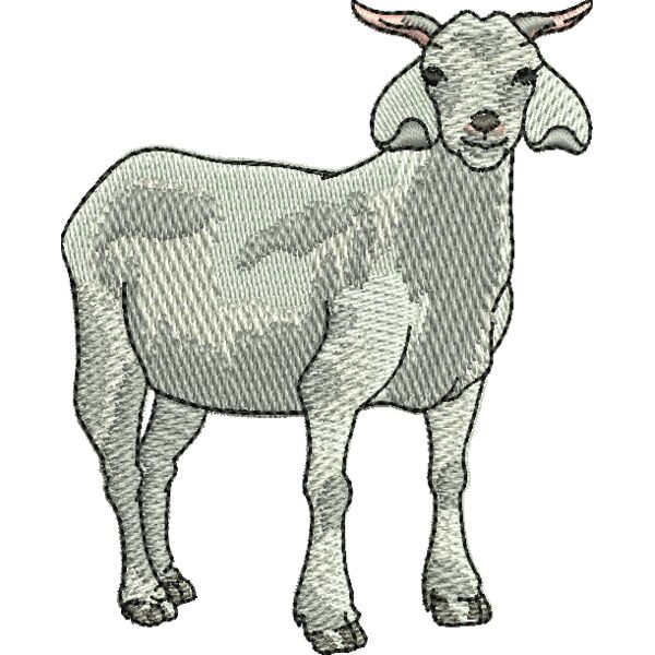 67979 Miniaturansicht