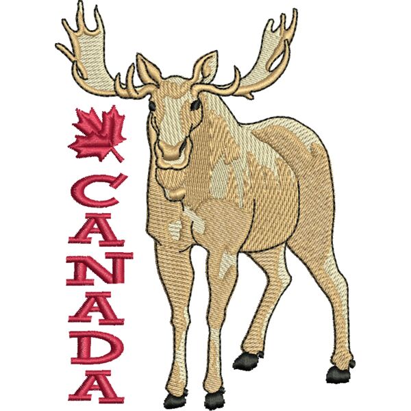 71449 Miniaturansicht