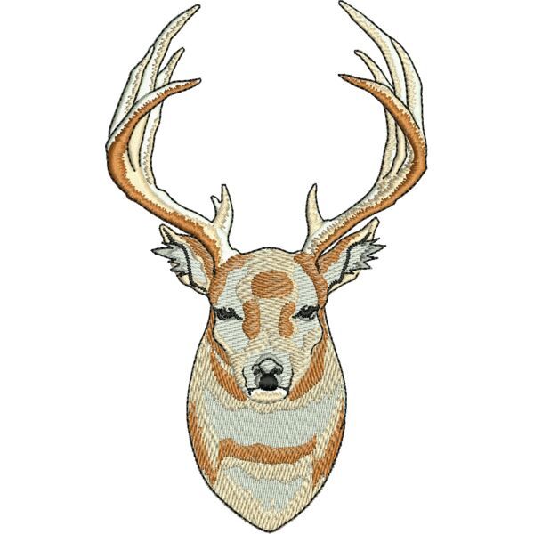 67410 Miniaturansicht