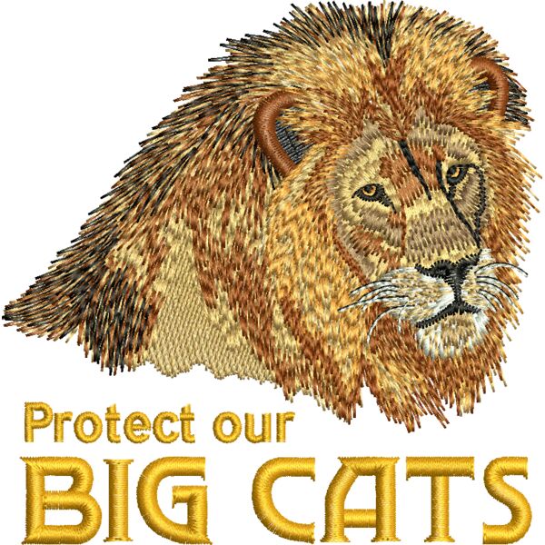 52977 Miniaturansicht