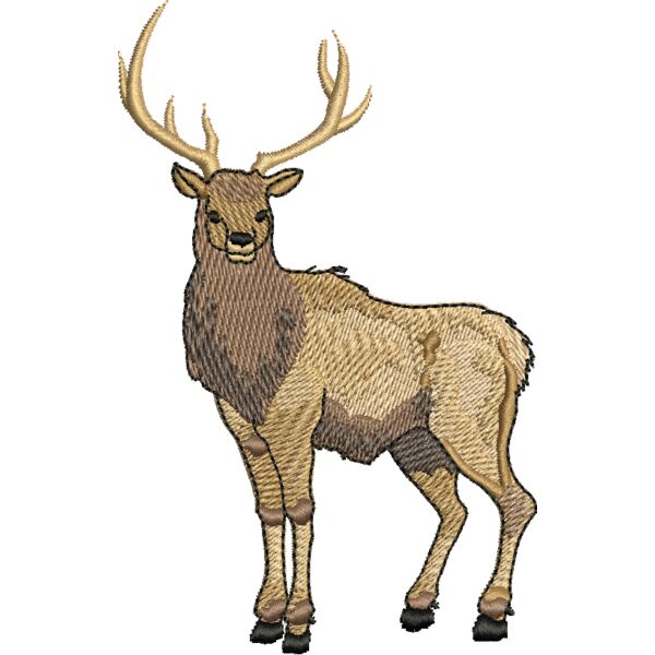 71444 Miniaturansicht