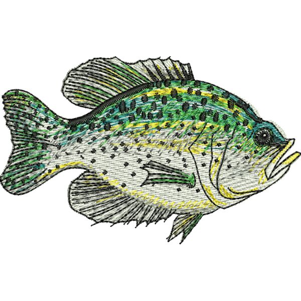 70393 Miniaturansicht