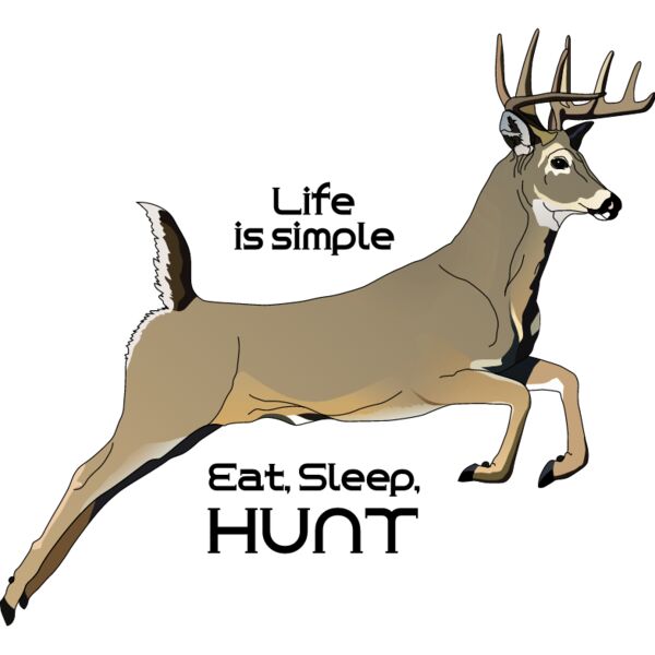 PG50656 Miniaturansicht