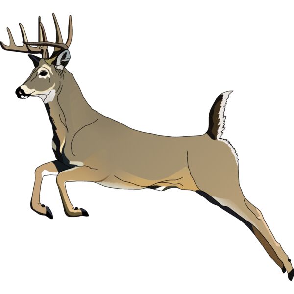 PG50653 Miniaturansicht