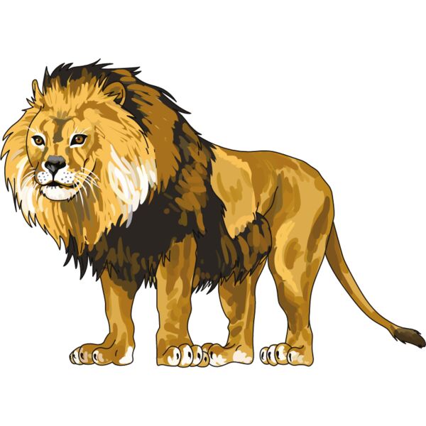 PG69209 Miniaturansicht