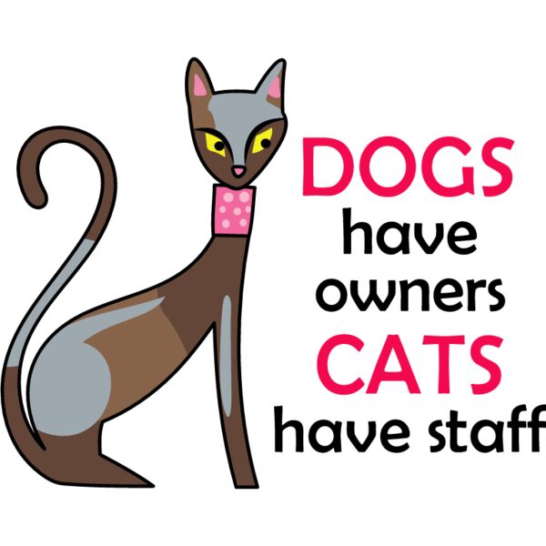 PG52577 Miniaturansicht