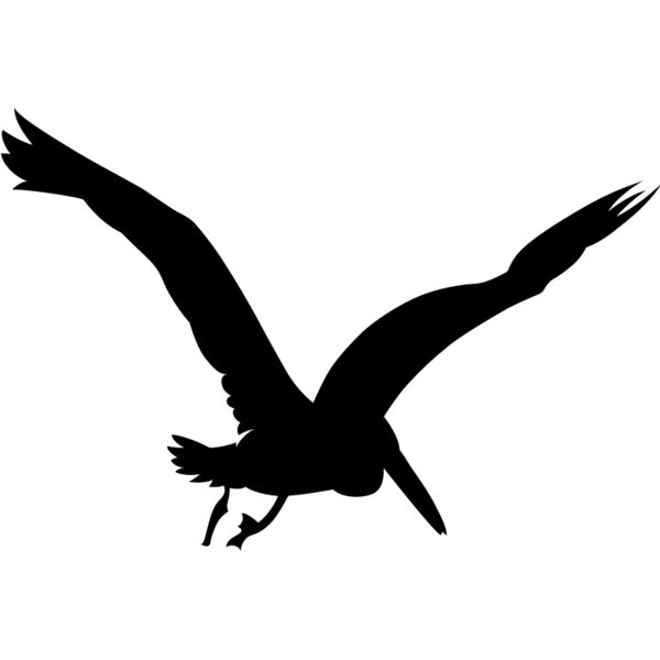 PG75908 Miniaturansicht