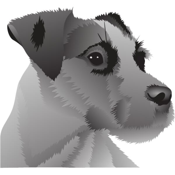 PG63679 Miniaturansicht