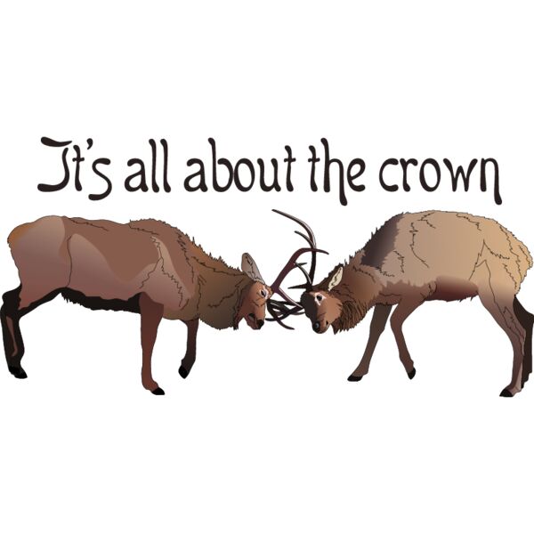 PG50710 Miniaturansicht