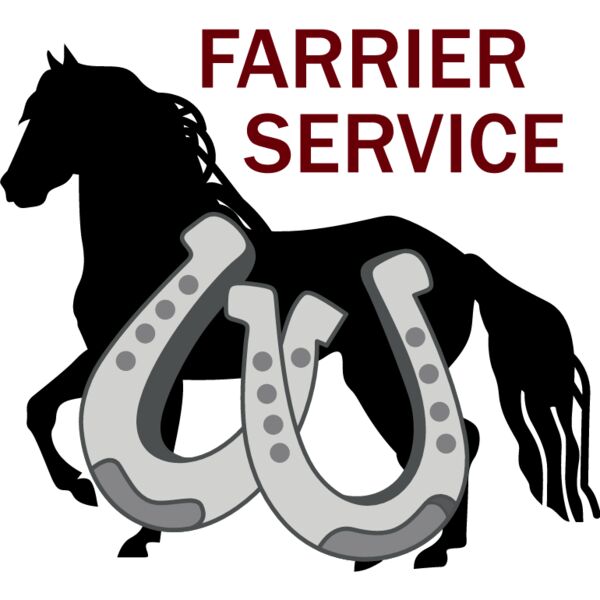 PG61509 Miniaturansicht