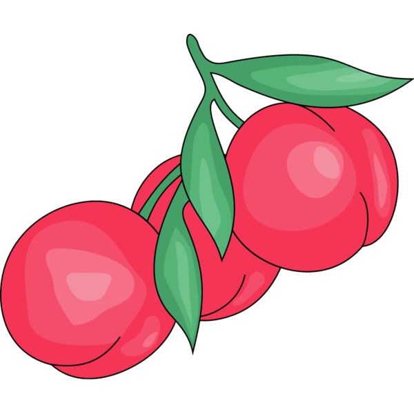 PG17931 Miniaturansicht