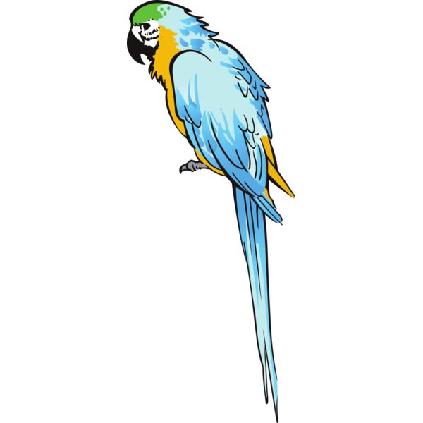 PG76628 Miniaturansicht