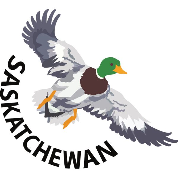 PG79754 Miniaturansicht