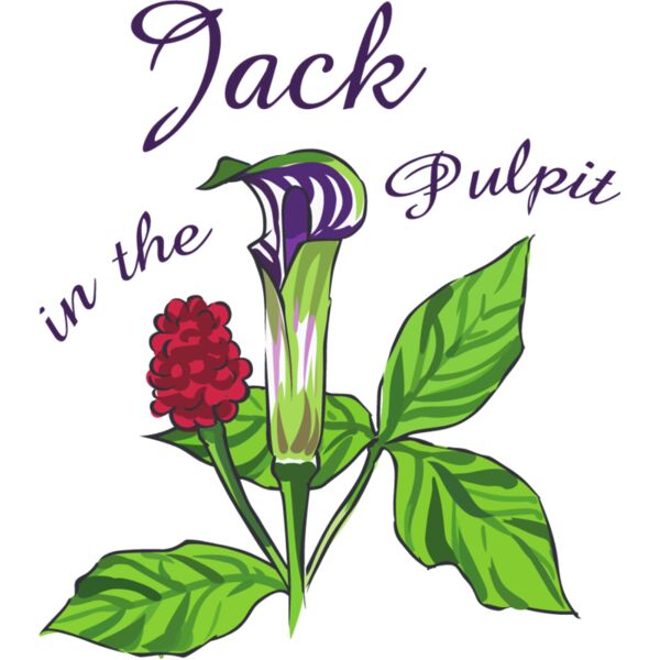 PG87793 Miniaturansicht