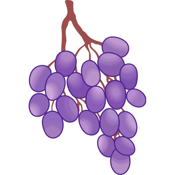 PG61572 Miniaturansicht