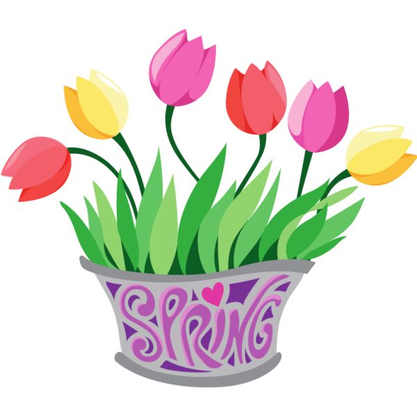 PG76633 Miniaturansicht