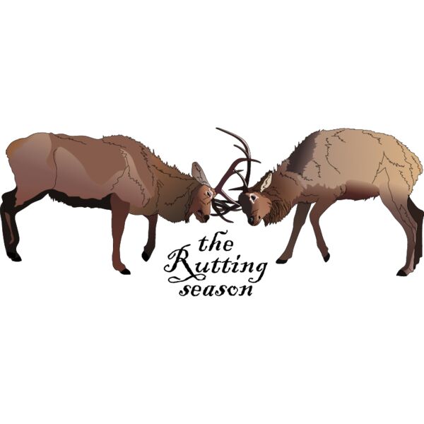 PG50716 Miniaturansicht