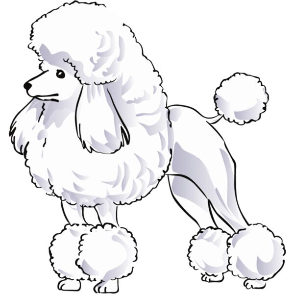 pg79221 Miniaturansicht