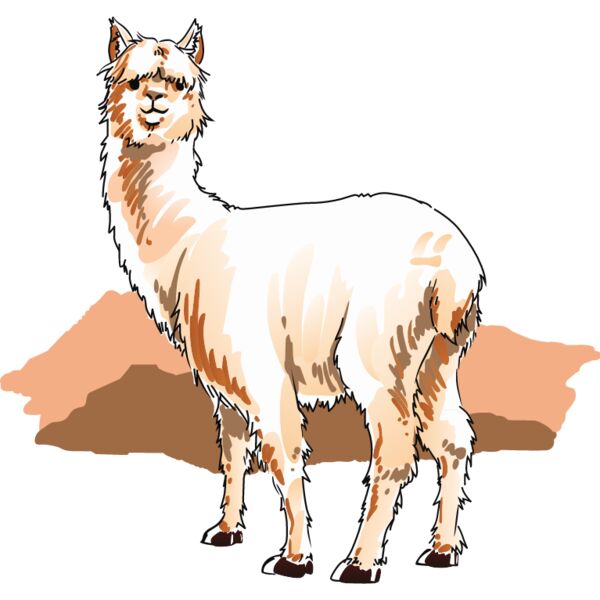 PG71373 Miniaturansicht