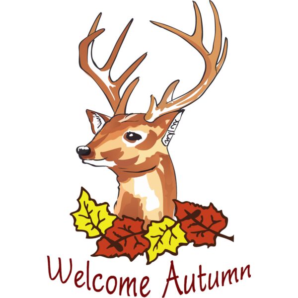 PG79429 Miniaturansicht