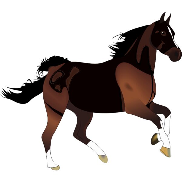 PG55671 Miniaturansicht