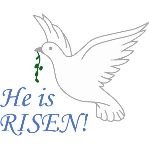 PG66865 Miniaturansicht