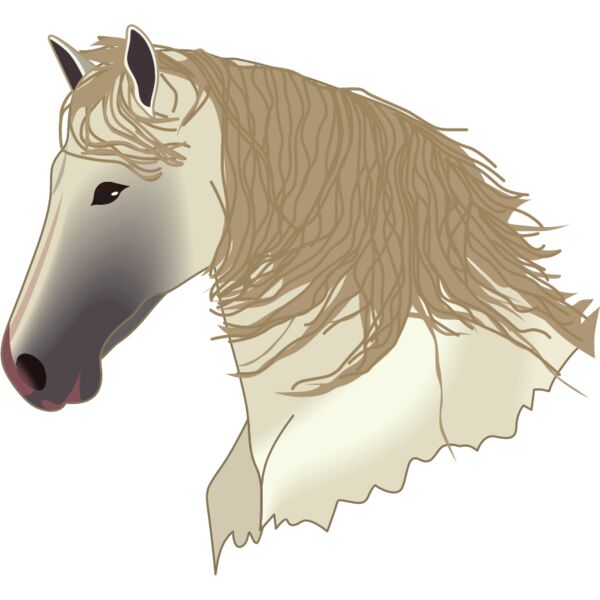 PG55631 Miniaturansicht