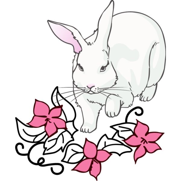 PG67495 Miniaturansicht