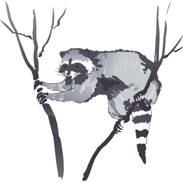 PG72824 Miniaturansicht