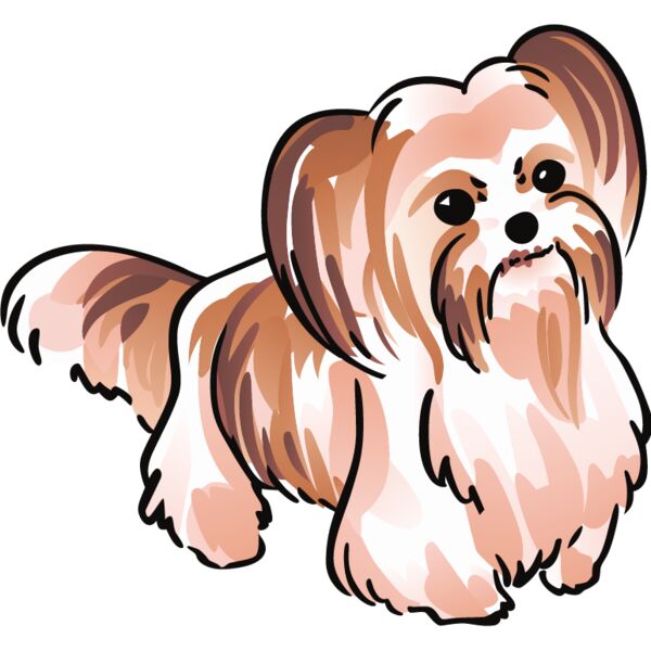 PG92995 Miniaturansicht