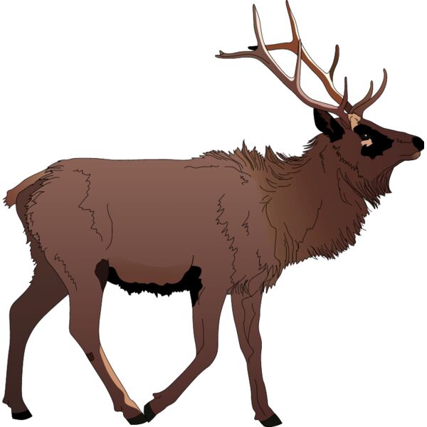 PG50689 Miniaturansicht