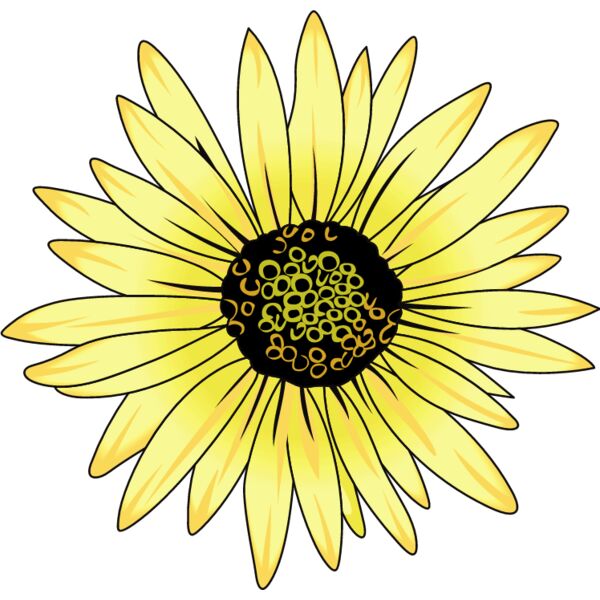 PG59811 Miniaturansicht