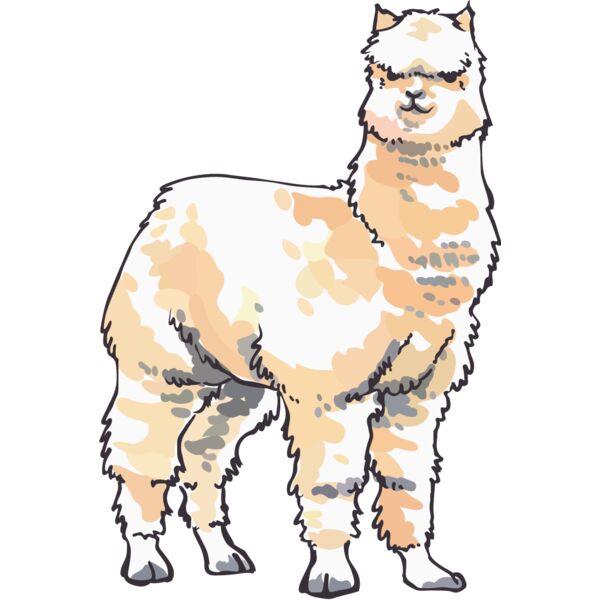 PG71713 Miniaturansicht