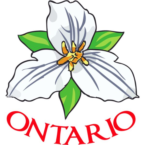 PG87789 Miniaturansicht