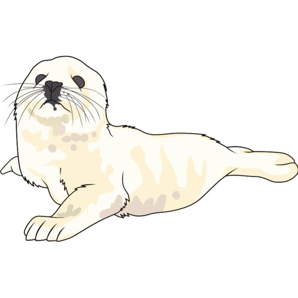 PG69503 Miniaturansicht