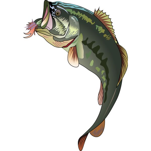 PG55897 Miniaturansicht