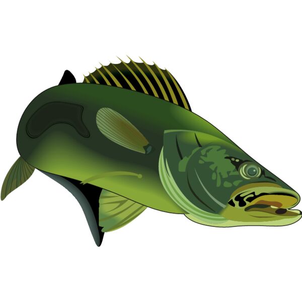 PG59669 Miniaturansicht