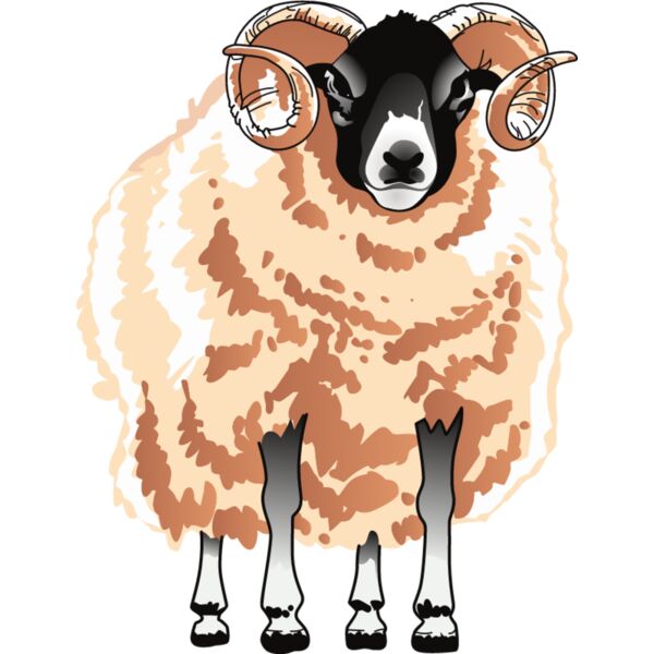 PG67669 Miniaturansicht