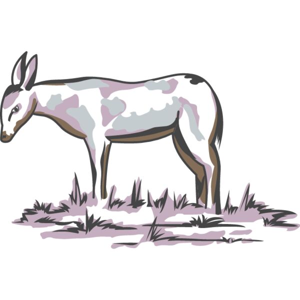 PG63650 Miniaturansicht