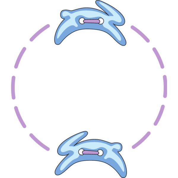 PG18939 Miniaturansicht