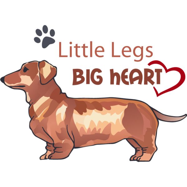 PG77785 Miniaturansicht