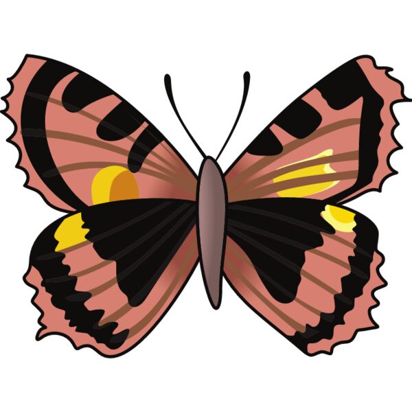 PG59864 Miniaturansicht