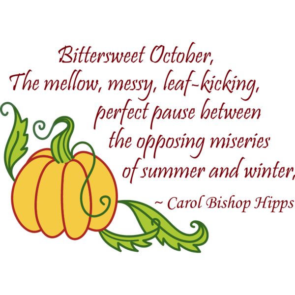 PG18167 Miniaturansicht