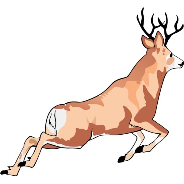 PG69905 Miniaturansicht