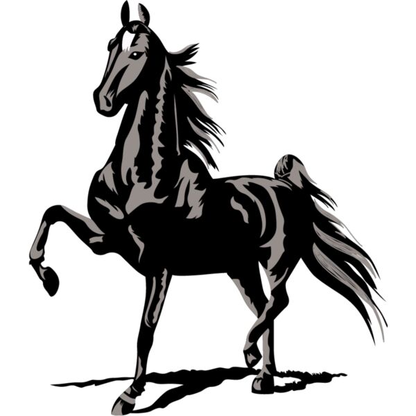 PG70506 Miniaturansicht